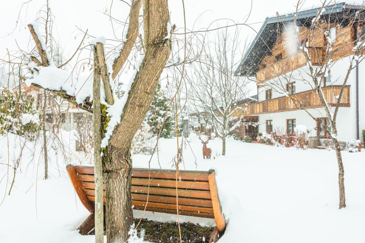 Apartament Haus Alexandra Werfenweng Zewnętrze zdjęcie